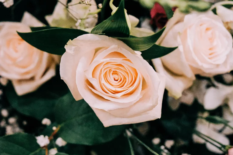 A bouquet of soft pink roses